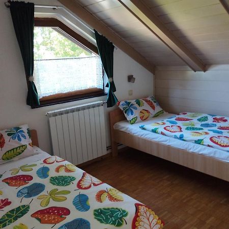 Apartmani Gruzdovo Delnice Exteriér fotografie