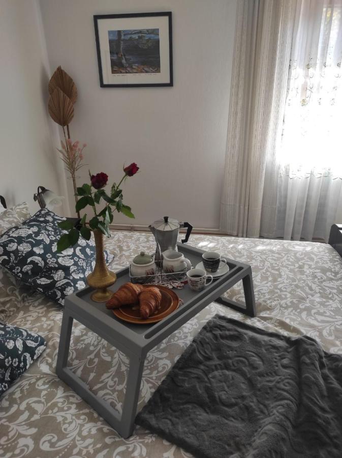 Apartmani Gruzdovo Delnice Exteriér fotografie