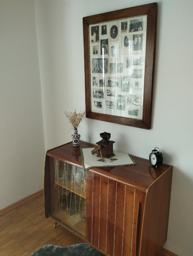 Apartmani Gruzdovo Delnice Exteriér fotografie