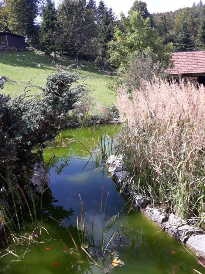 Apartmani Gruzdovo Delnice Exteriér fotografie