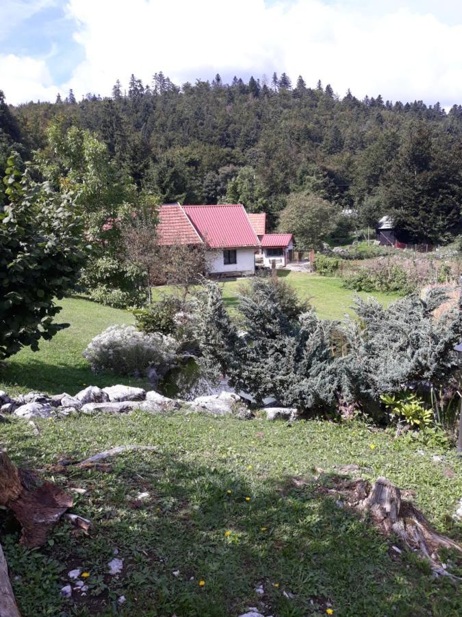 Apartmani Gruzdovo Delnice Exteriér fotografie