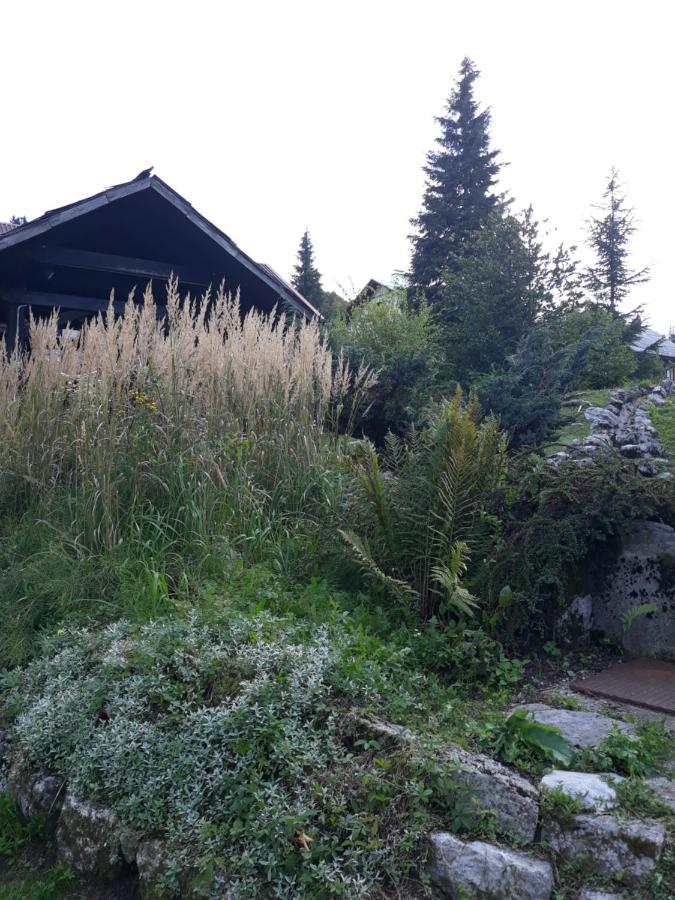 Apartmani Gruzdovo Delnice Exteriér fotografie