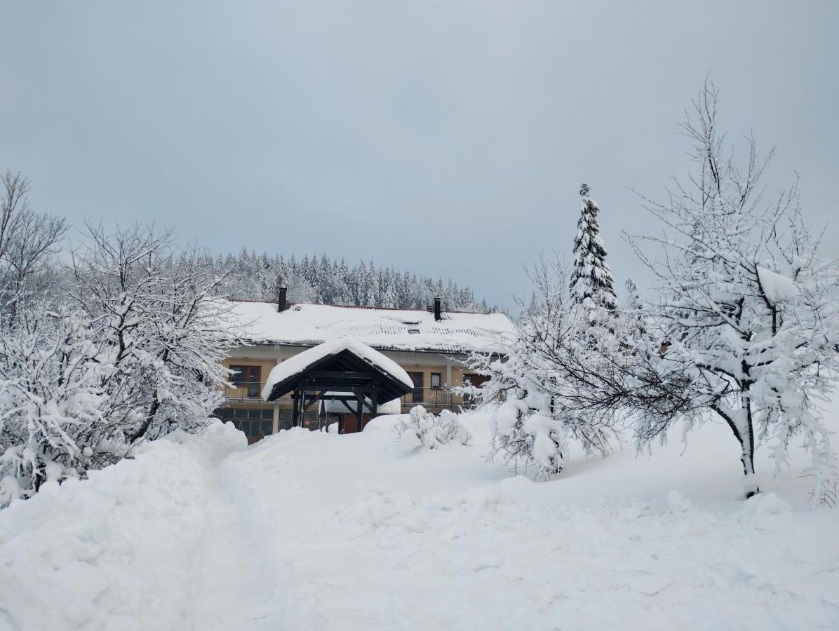 Apartmani Gruzdovo Delnice Exteriér fotografie