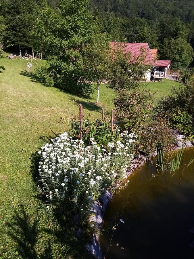 Apartmani Gruzdovo Delnice Exteriér fotografie