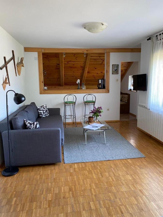 Apartmani Gruzdovo Delnice Exteriér fotografie
