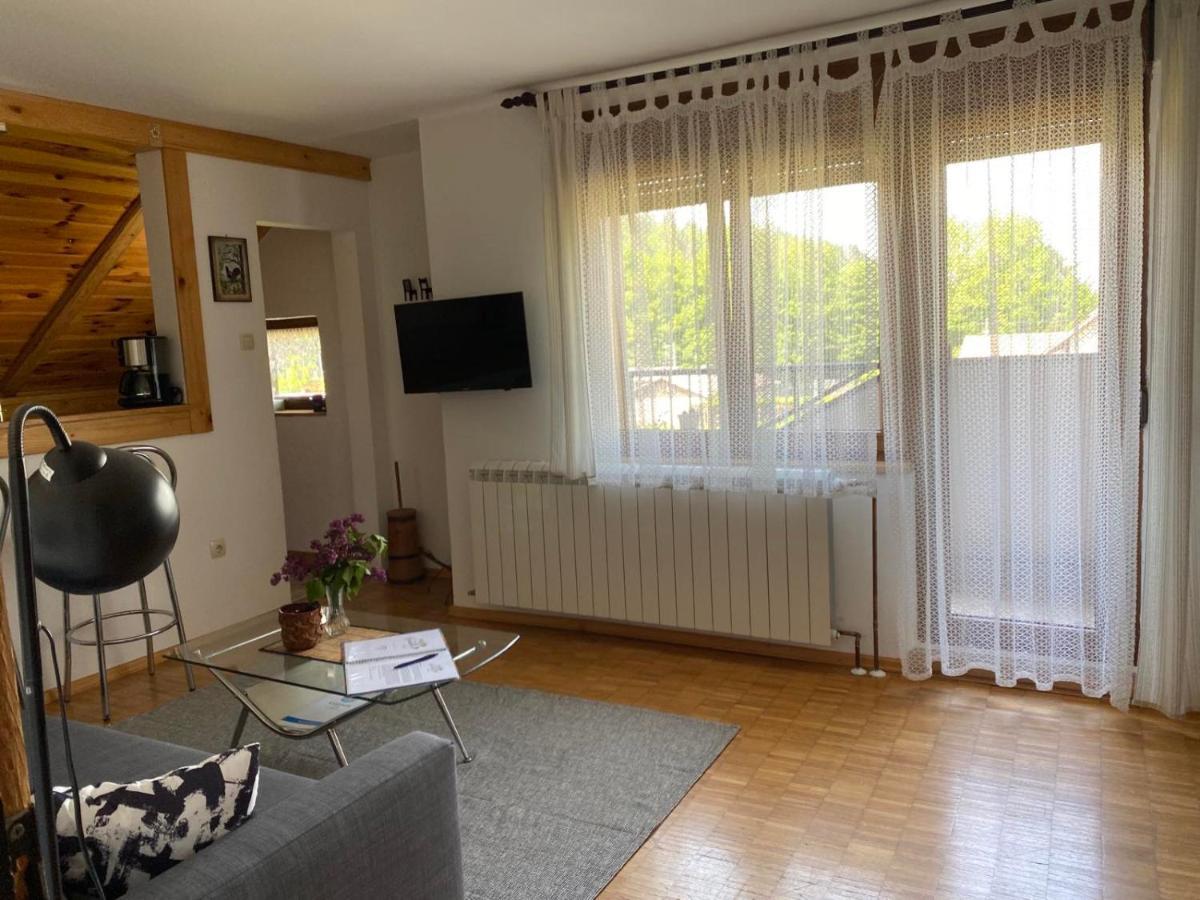 Apartmani Gruzdovo Delnice Exteriér fotografie