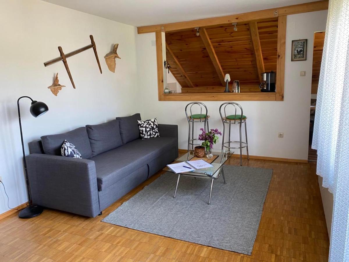Apartmani Gruzdovo Delnice Exteriér fotografie