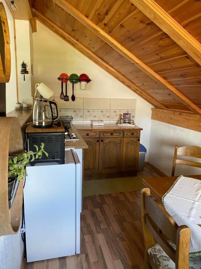 Apartmani Gruzdovo Delnice Exteriér fotografie