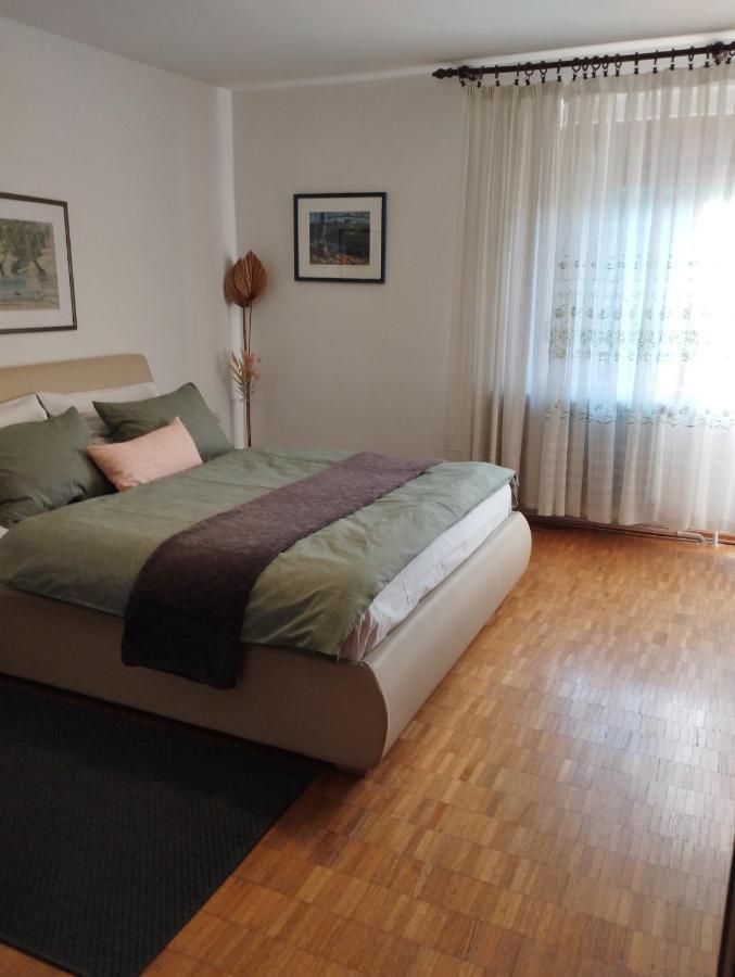 Apartmani Gruzdovo Delnice Exteriér fotografie