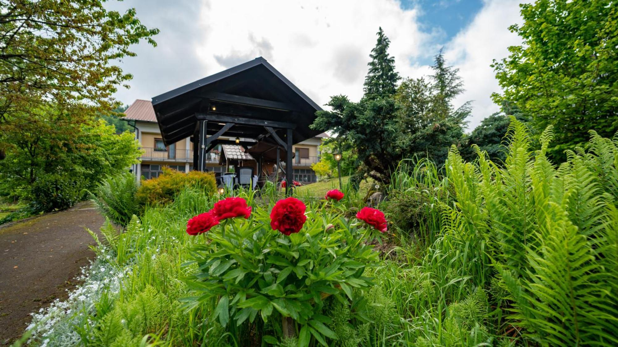 Apartmani Gruzdovo Delnice Exteriér fotografie