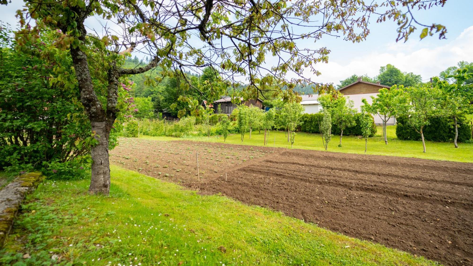 Apartmani Gruzdovo Delnice Exteriér fotografie